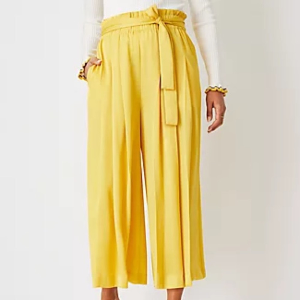 Ann Taylor Tie Waist Culotte Pants (with tags)